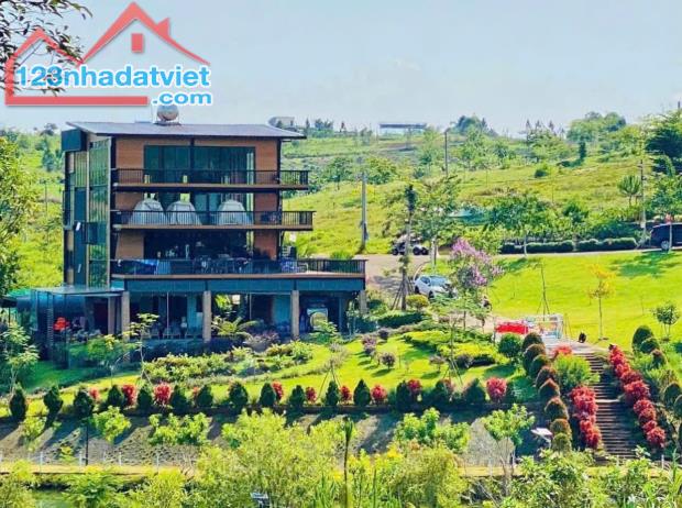 đất nền nghỉ dưỡng cơ hội nhận VF3 chỉ với 800 triệu
