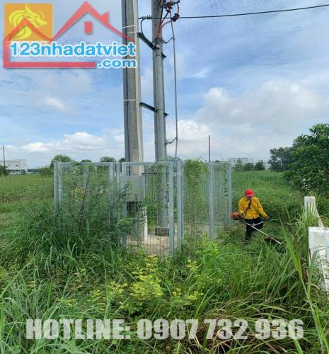 Cắt cỏ, phát hoang cỏ dại ở Đồng Nai, TP.HCM