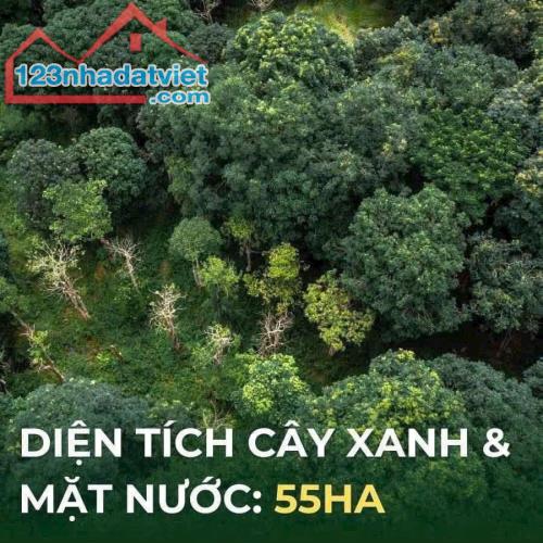 Rừng Eco Retreat Long An Có Gì Mà Giới Siêu Giàu Săn Đón