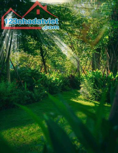 Rừng Eco Retreat Long An Có Gì Mà Giới Siêu Giàu Săn Đón - 1