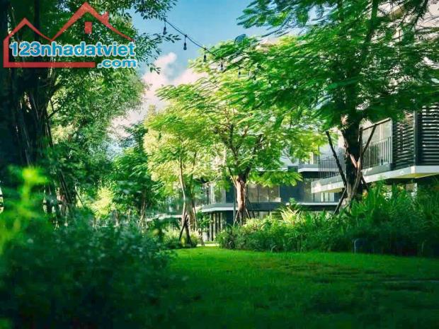 Rừng Eco Retreat Long An Có Gì Mà Giới Siêu Giàu Săn Đón - 2
