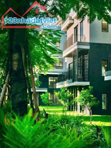 Rừng Eco Retreat Long An Có Gì Mà Giới Siêu Giàu Săn Đón - 3