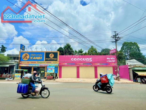 BÁN GẤP CHIA TÀI SẢN 3,2 SÀO( 3.259M2 )THỔ CƯ,FULL SHR, MT QL40m,GIÁ : 480 TRIỆU,TẶNG NHÀ - 3