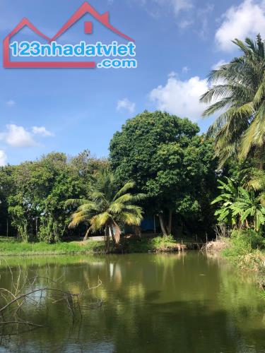 CHÍNH CHỦ CẦN CHO THUÊ  ĐẤT HƠN 8000m2 TẠI CỒN KHƯƠNG - CÁI KHẾ - NINH KIỀU - TP CẦN THƠ - 1