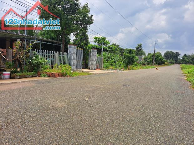 ĐẤT THỊ TRẤN 3 LÔ 15X35=525M2 SHR, THỔ CƯ, NGAY TRƯỜNG TIỂU HỌC NGÔ QUYỀN GIÁ 550TR