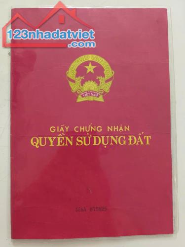 ĐẤT ĐẸP - GIÁ TỐT - Cần Ban Lô Đất Vị Trí Đắc Địa Tại An Thới Đông, Huyện Cần Giờ, TP Hồ - 1