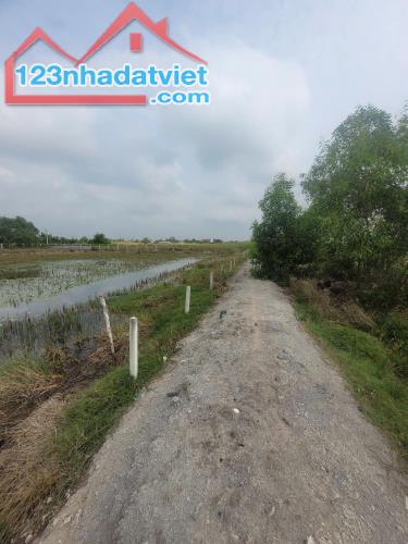 Đất đẹp- giá đầu tư chính chủ cần bán nhanh lô đất tại huyện Cần Giờ, TPHCM - 1