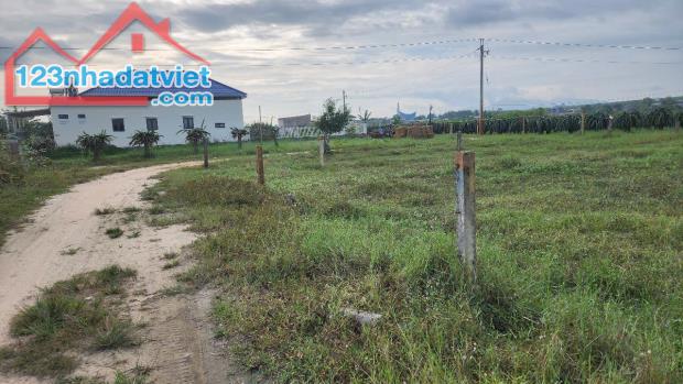 🔥BÁN ĐẤT 1000M2 - GẦN BIỂN, ĐƯỜNG OTO – ĐÃ CÓ 300M2 THỔ CƯ – GIÁ CỰC TỐT CHỈ 2,2 TỶ!