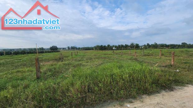 🔥BÁN ĐẤT 1000M2 - GẦN BIỂN, ĐƯỜNG OTO – ĐÃ CÓ 300M2 THỔ CƯ – GIÁ CỰC TỐT CHỈ 2,2 TỶ! - 3