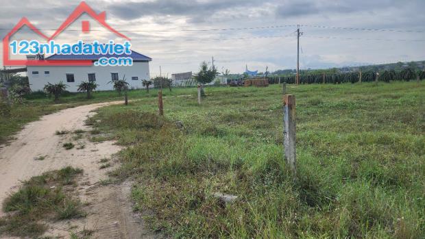 🔥BÁN ĐẤT 1000M2 - GẦN BIỂN, ĐƯỜNG OTO – ĐÃ CÓ 300M2 THỔ CƯ – GIÁ CỰC TỐT CHỈ 2,2 TỶ! - 5