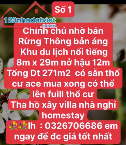 ĐẤT VÀNG NGHỈ DƯỠNG RỘNG RẺ MỘC CHÂU - 2