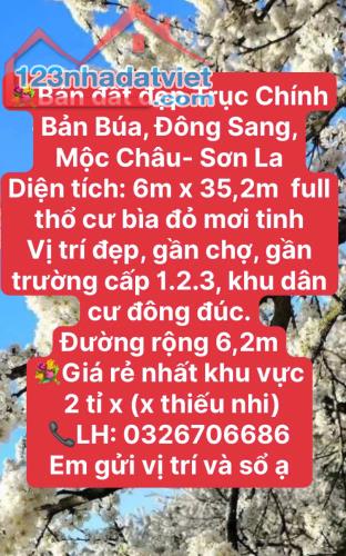 ĐẤT VÀNG NGHỈ DƯỠNG RỘNG RẺ MỘC CHÂU - 3