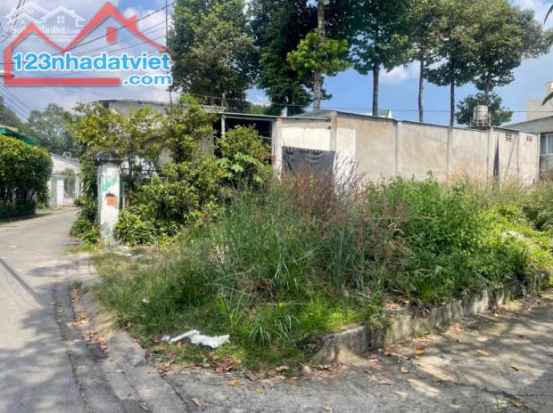 Đất 2 mặt tiền đường nhựa 4m thông, cách đường Lê Hồng Phong vào 50m - 2