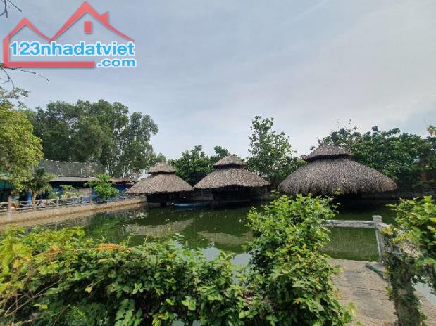 Bán đất Bình Phú, Tam phú, Thủ Đức, 1821m2, Mặt tiền kinh doanh, Gía chỉ 50.6 Tỷ TL - 4