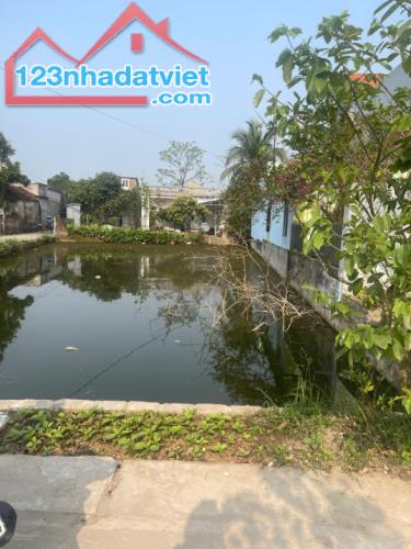 CHÍNH CHỦ GỬI BÁN ĐẤT TẠI THÔN NAM ĐẠI - XÃ QUỲNH BẢO - QUỲNH PHỤ - THÁI BÌNH