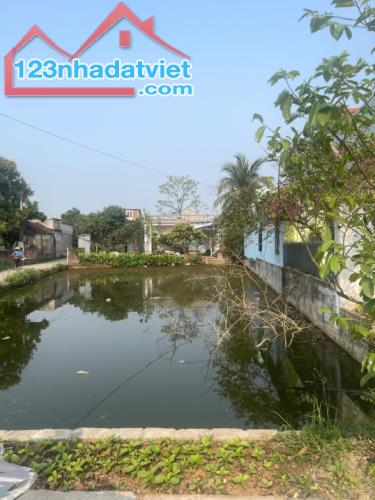 CHÍNH CHỦ GỬI BÁN ĐẤT TẠI THÔN NAM ĐẠI - XÃ QUỲNH BẢO - QUỲNH PHỤ - THÁI BÌNH - 3