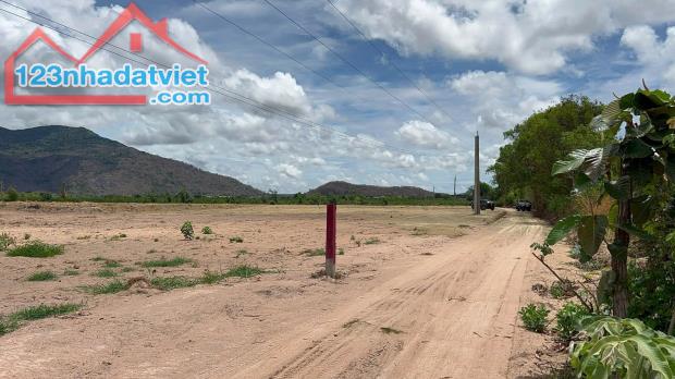 Chỉ 270 triệu/ sào đất Tân Thuận - Hàm Thuận Nam đường xe hơi gần Nguyễn MInh Châu - 2