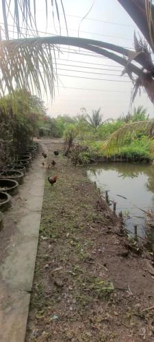 BIỆT THỰ VƯỜN 2 MẶT TIỀN – VIEW SÔNG CỰC ĐẸP – CƠ HỘI ĐẦU TƯ SIÊU LỢI NHUẬN - 2