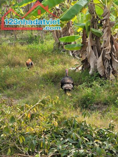 BIỆT THỰ VƯỜN 2 MẶT TIỀN – VIEW SÔNG CỰC ĐẸP – CƠ HỘI ĐẦU TƯ SIÊU LỢI NHUẬN - 3