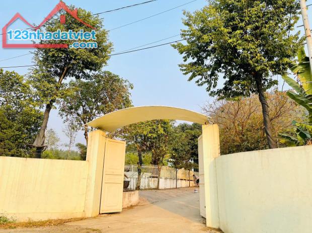 Bán nhà + đất 1,785,9 m 2 tại  Rừng Va - Hữu Thủ 2 Thị trấn kim Long - Tam Dương- Vĩnh Phú - 1