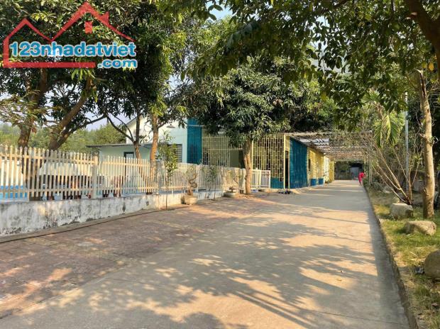 Bán nhà + đất 1,785,9 m 2 tại  Rừng Va - Hữu Thủ 2 Thị trấn kim Long - Tam Dương- Vĩnh Phú - 3
