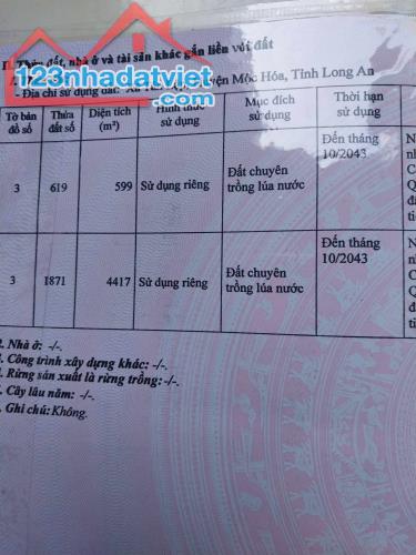 CẦN BÁN LÔ ĐẤT CỰC ĐẸP MẶT TIỀN LỘ LỚN- WIEW SÔNG TẠI TÂN LẬP,  MỘC HÓA, LONG AN – CHÍNH - 3