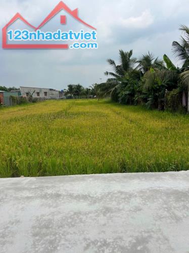 BÁN LÔ ĐẤT NGAY XÃ HOÀ KHÁNH TÂY ĐỨC HOÀ LONG AN, DT 250M2 FULL THỔ, GIÁ 980TR CC NGAY - 1