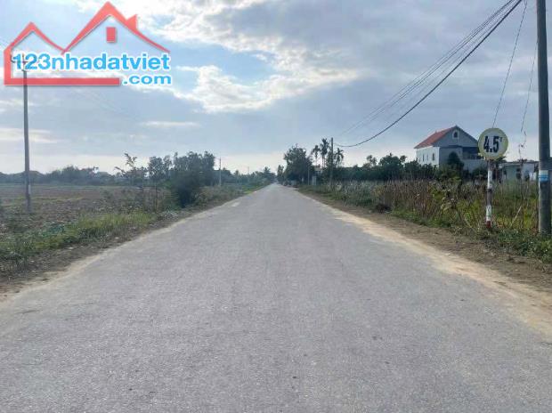 Bán đất Minh Tân - Kiến Thụy - Hải Phòng - 2