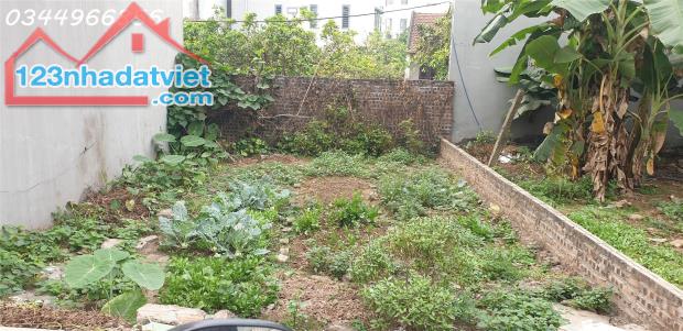 Bán đất Tân Lập – Gần Tây Thăng Long – 61m², ô tô 16 chỗ qua gần Vin giá TL.