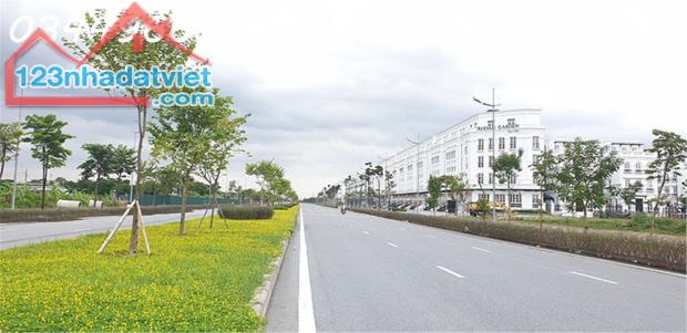 Bán đất Tân Lập – Gần Tây Thăng Long – 61m², ô tô 16 chỗ qua gần Vin giá TL. - 2