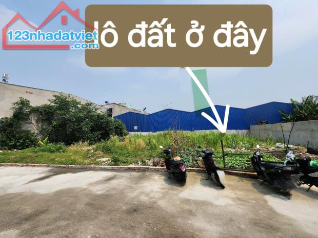 Lô Đất Thạnh Xuân 47-Sổ hồng riêng-100m2 - 3