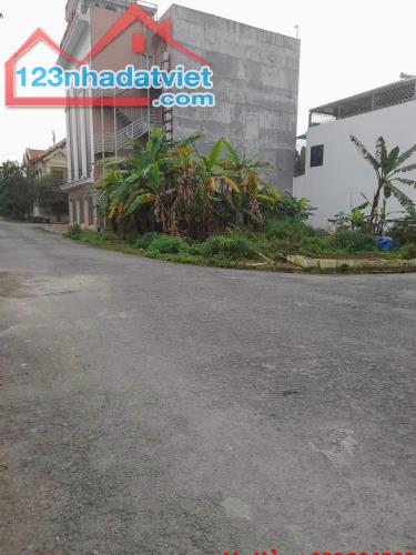 Bán lô góc 176m2 ngang 9m CC Tắc Giang Minh Tân Kiến Thụy Hải Phòng - 1