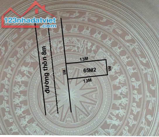 Chuyển nhượng lô đất 65m2 đường trục thôn Đại Đồng Kiến Thụy giá 1,6 tỷ