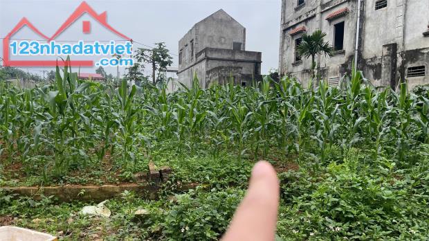 Đất Đẹp - Giá Tốt - Chính Chủ Cần Bán 2 Lô Đất liền kề vị trí đẹp tại huyện Ba Vì, TP Hà