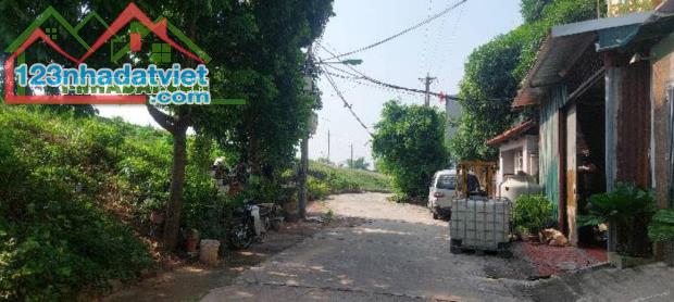Chính chủ 45m2 MT5m 4.85 tỷ hộ khẩu Tứ Hiệp Thanh Trì - 3
