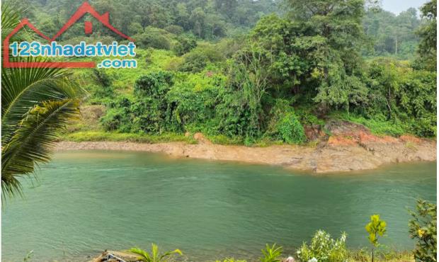 Toàn quốc Đất vườn để nghỉ dưỡng - La Ngà, Định Quán với view Hồ Trị An siêu xịn - 1