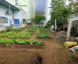 BÁN LÔ ĐẤT MẶT TIỀN ĐƯỜNG THÀNH VINH 2 - VỊ TRÍ ĐẸP GẦN BIỂN