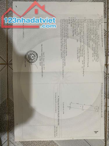 Nhà Chính Chủ - Sổ Riêng THỔ CƯ 100% - P. Tân Hòa, TP Biên Hòa, Đồng Nai - 1