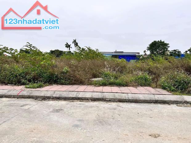 Bán lô đất 166m2 ngang 7,5m đường 6m Tam Kiệt Hữu Bằng Kiến Thụy 1,65 tỷ - 2