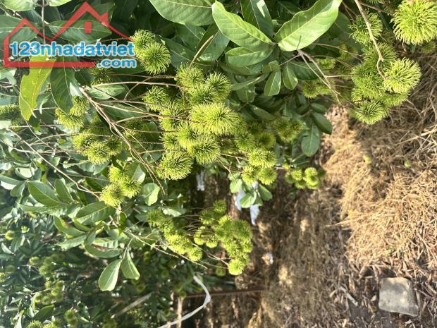 CHÍNH CHỦ CẦN BÁN GẤP ĐẤT VIEW HỒ TRỊ AN – CỰC PHẨM NGHỈ DƯỠNG - ĐẦU TƯ GIÁ 1 TỶ/ 1000M2 - 3