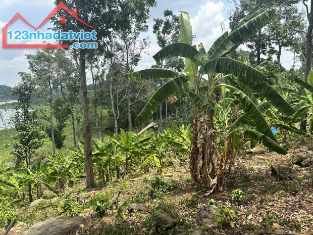 CHÍNH CHỦ CẦN BÁN GẤP ĐẤT VIEW HỒ TRỊ AN – CỰC PHẨM NGHỈ DƯỠNG - ĐẦU TƯ GIÁ 1 TỶ/ 1000M2 - 4
