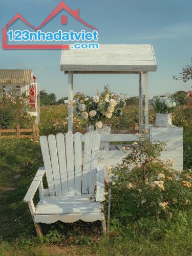 Chính Chủ bán đất nghỉ dưỡng tại Đông Anh , Hà Nội ,sổ đỏ chính chủ - 2