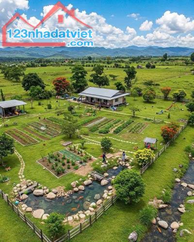 Chính Chủ bán đất nghỉ dưỡng tại Đông Anh , Hà Nội ,sổ đỏ chính chủ - 3
