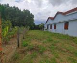 ☄️☄️☄️BÁN LÔ ĐẤT HÒA KIẾN-TP TUY HÒA 250M2 FULL THỔ CƯ