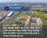 Bán Đất Đấu Giá 160m2 Trục Đường 32m Giáp 16 Tòa Nhà Ở Xã Hội Evergreen Bắc Giang.