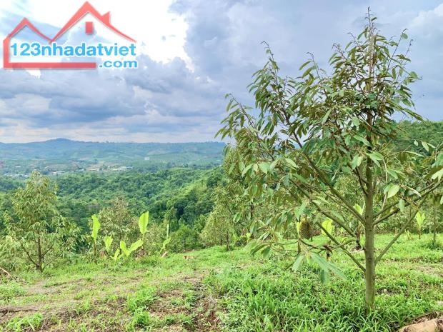 Ông bà em để lại mảnh vườn chăm kĩ lưỡng, view Hồ Trị An vô cực - 1