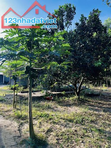 Ông bà em để lại mảnh vườn chăm kĩ lưỡng, view Hồ Trị An vô cực - 2