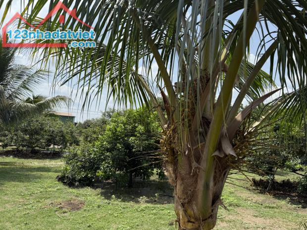 Ông bà em để lại mảnh vườn chăm kĩ lưỡng, view Hồ Trị An vô cực - 3