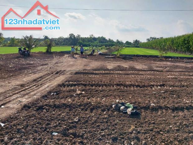 Chính chủ bán 3 lô đất ở khóm 1, phường 2, Thị xã Ngã Năm, tỉnh Sóc Trăng. - 1