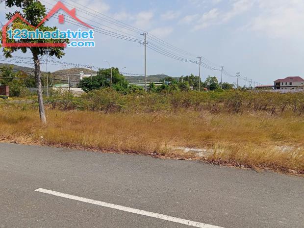 Bán đất cách đường tl 44 A vào 50m  long điền(cũ) long đất  bà rịa - 1